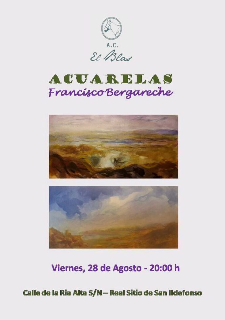 Exposición Paco Bergareche